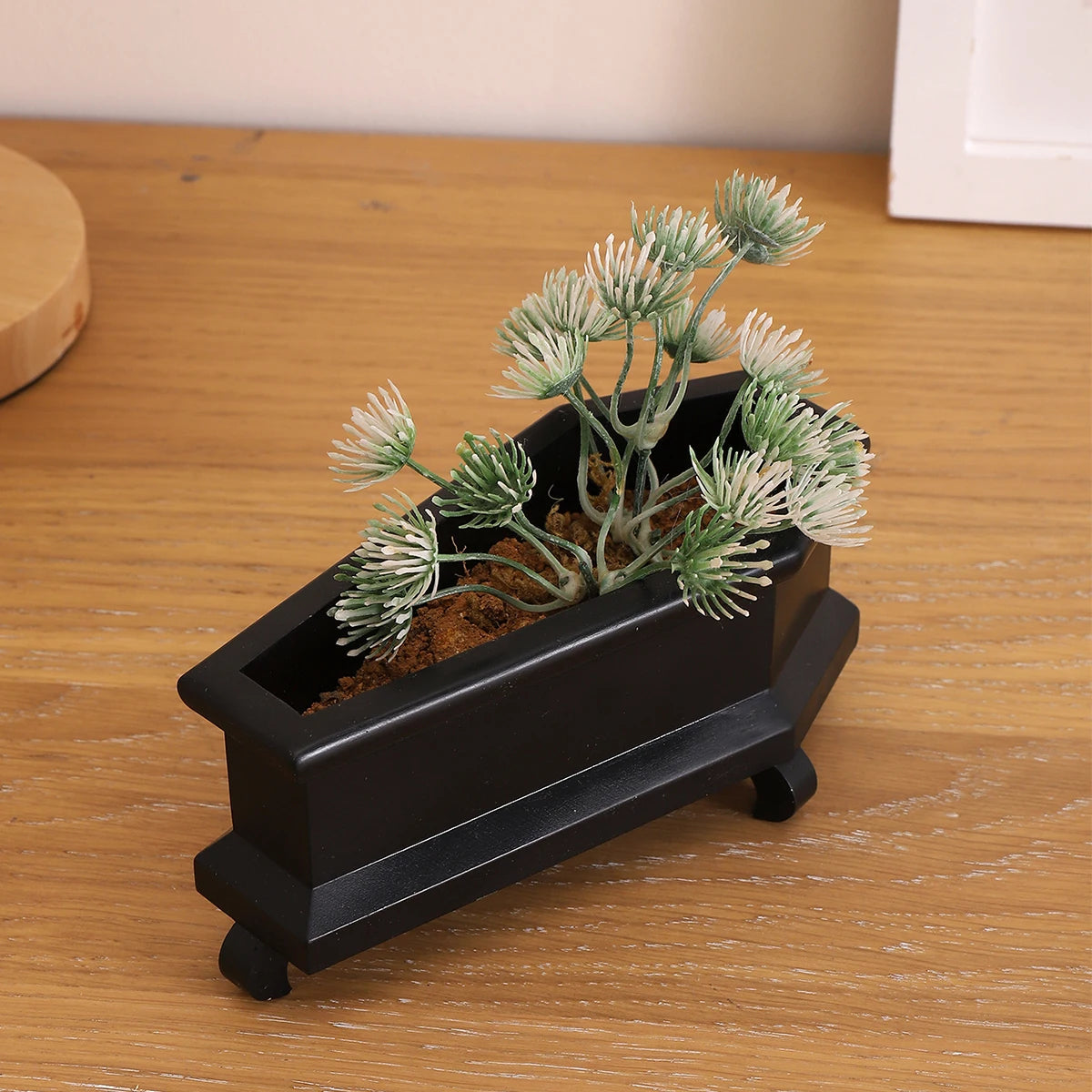 Coffin Mini Planter with Drainage Holes