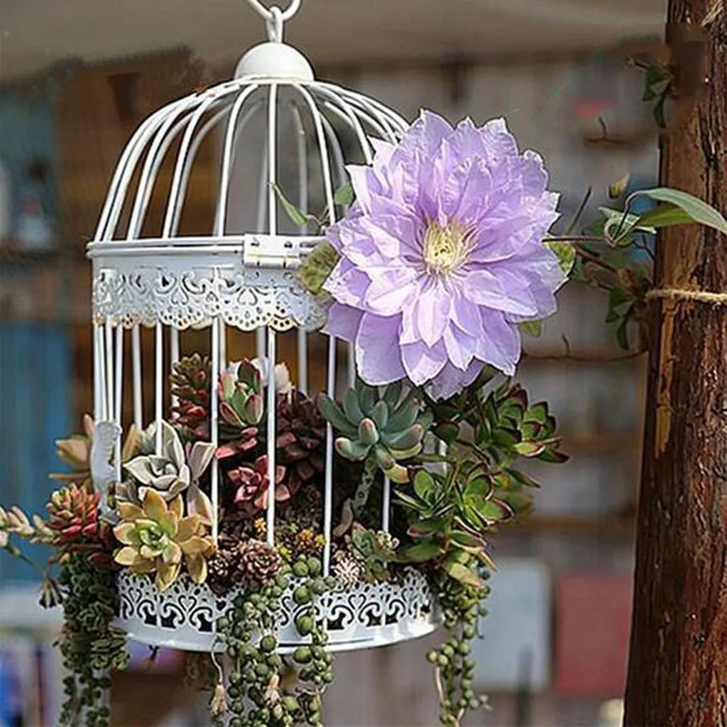 Stylish Metal Birdcage Planter - Unique Home and Garden Decor