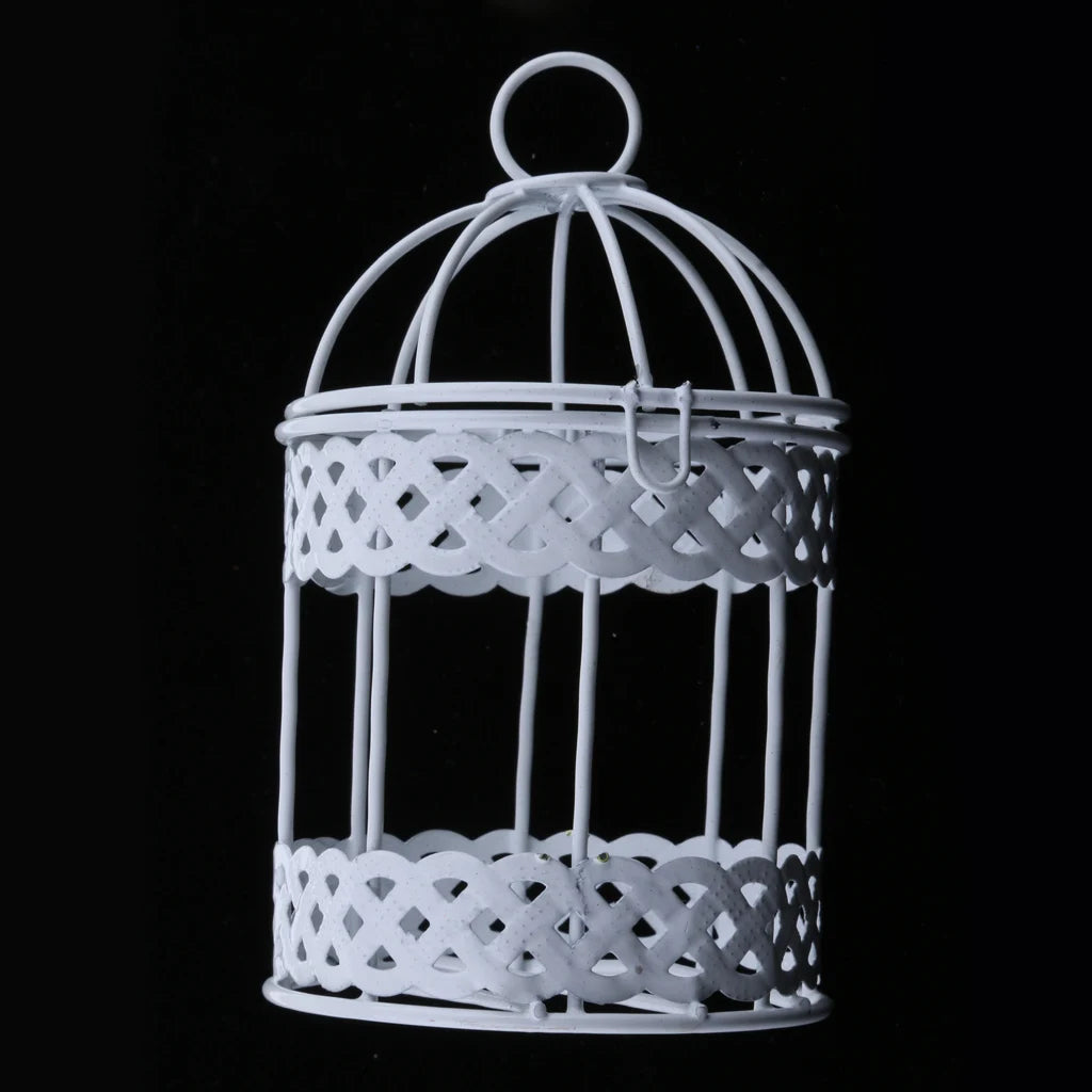 Metal Birdcage Planter