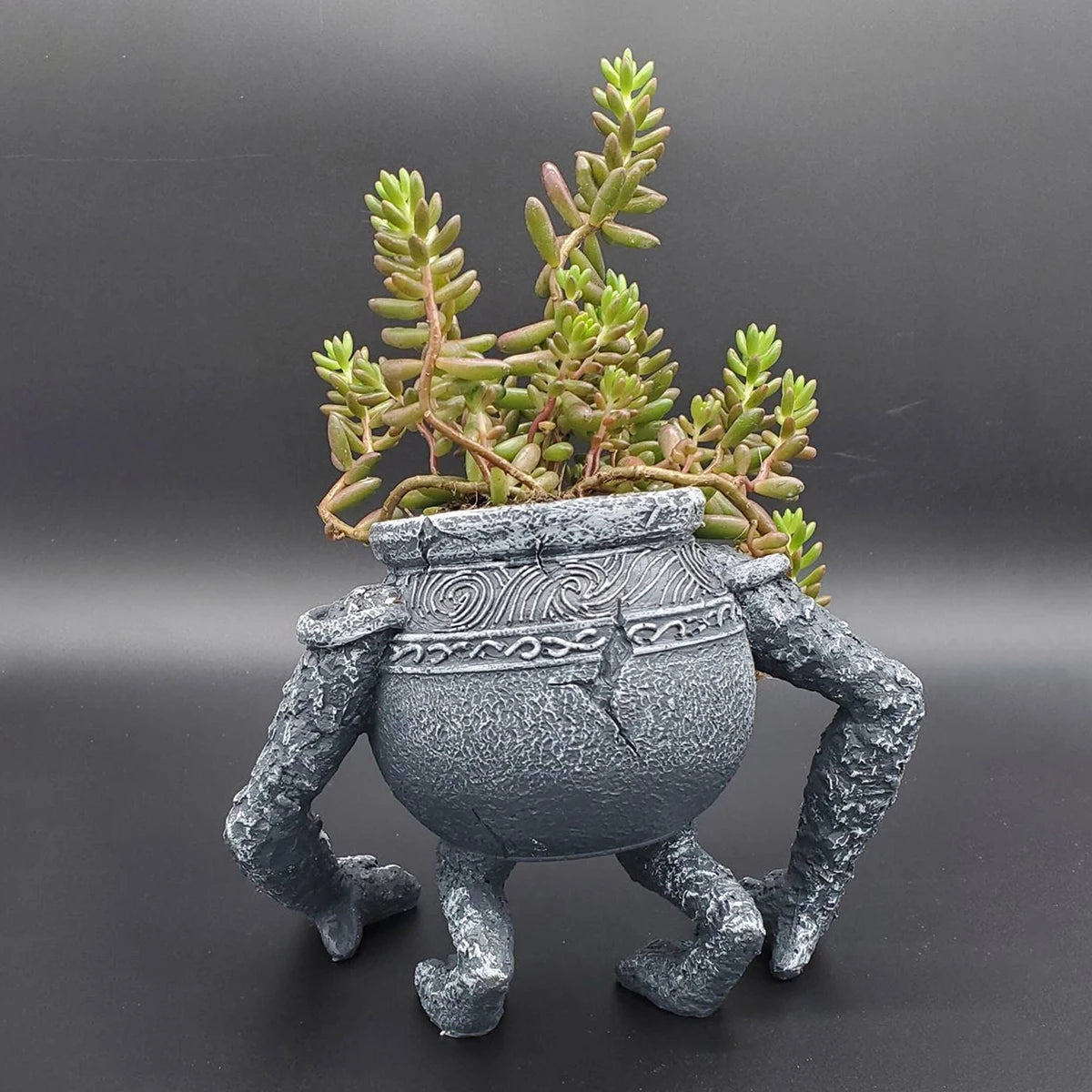 Unique 1pc Gargoyle Jar Planter for Gothic Home Decor