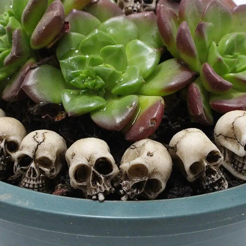 Miniature Skull Head Flowerpot Filler 20pcs