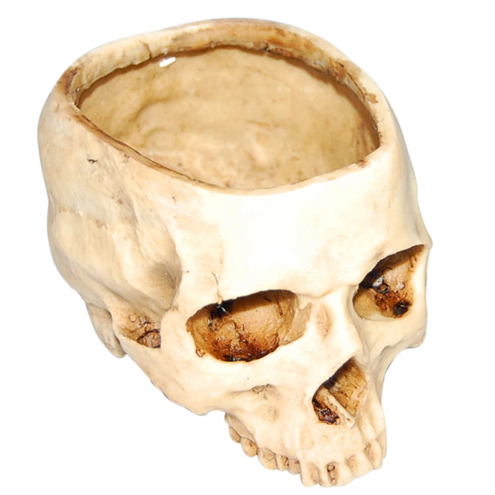 Skull Flower Pot (Beige, White, or Red) | Unique Planter