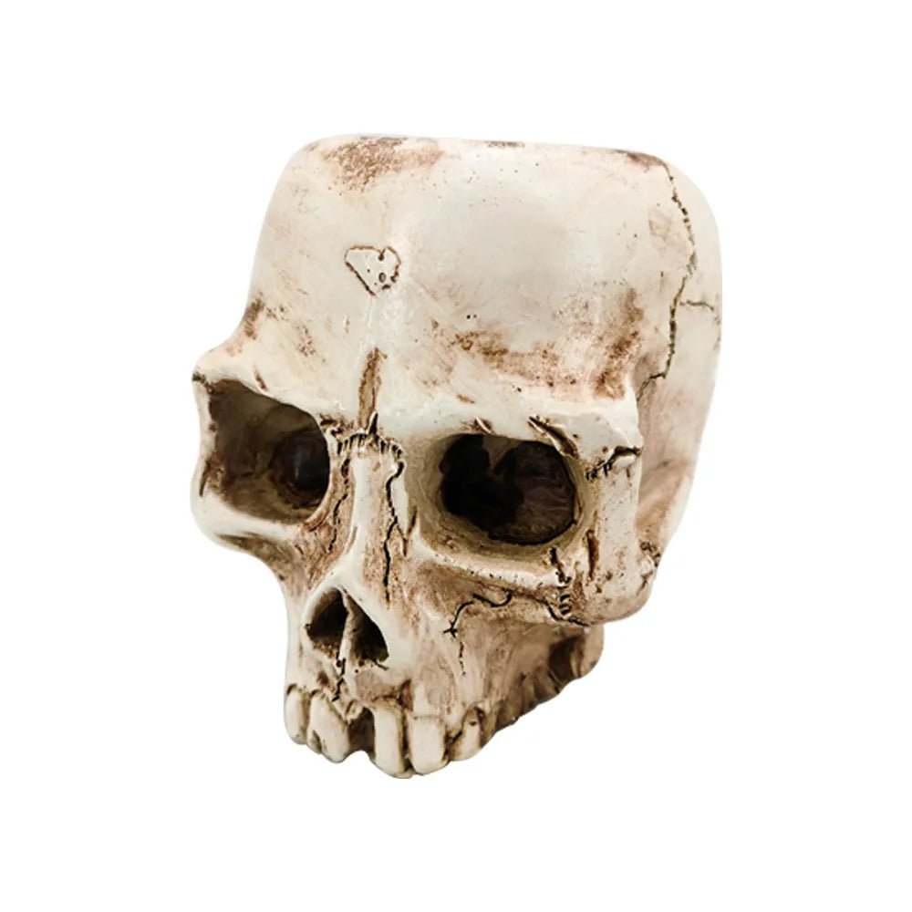 Resin Human Skull Planter (Single or Double Skull)