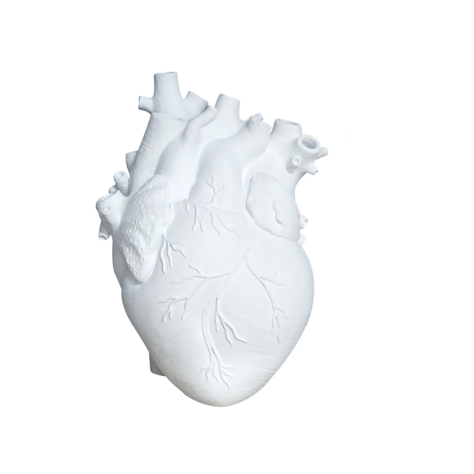 Anatomical Heart Shape Flower Vase | Unique & Artistic Vase