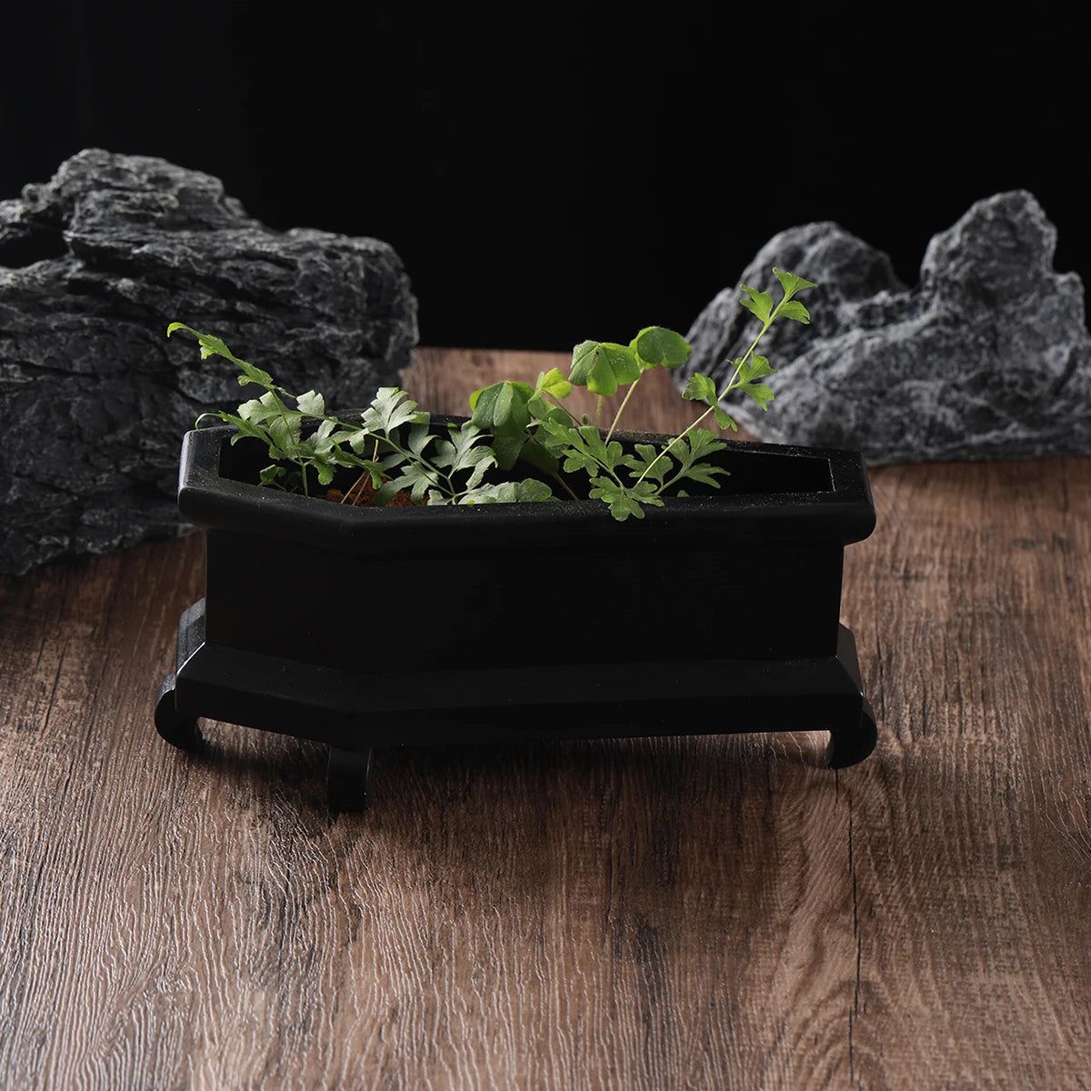 Coffin Mini Planter with Drainage Holes