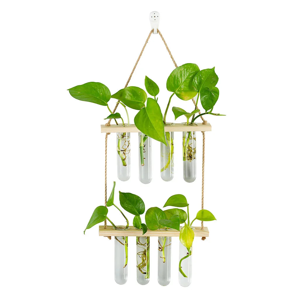 Double-Deck Test Tube Propagation Station | Functional Plant Display