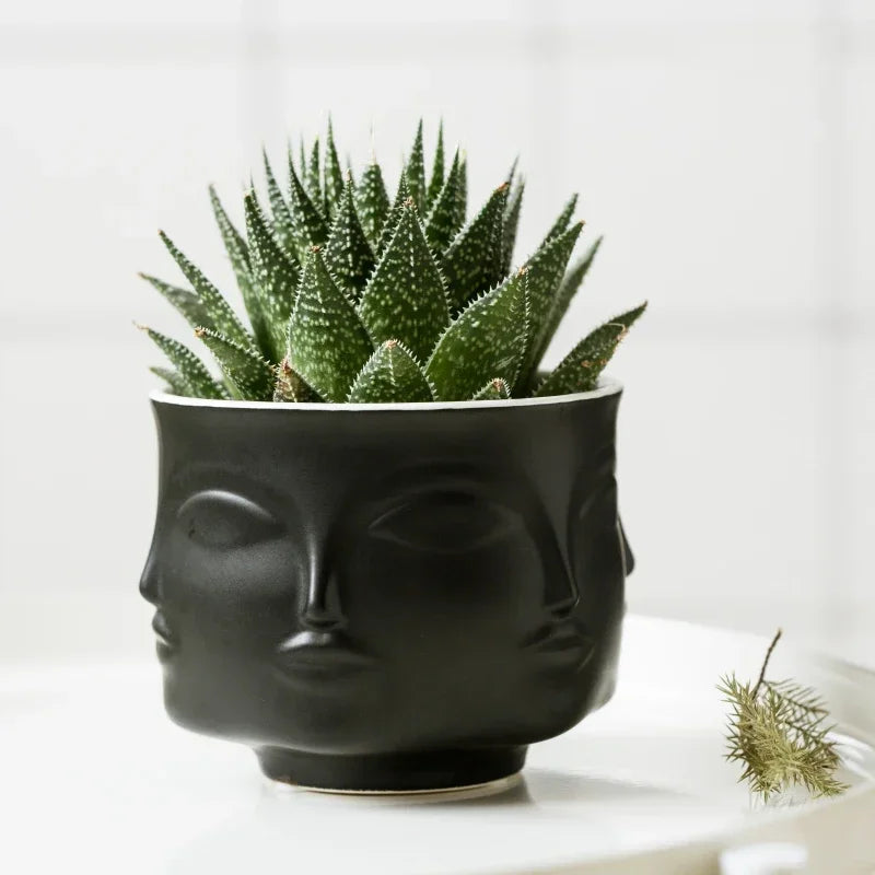 Nordic Style Face Ceramic Planter (4 Colors)