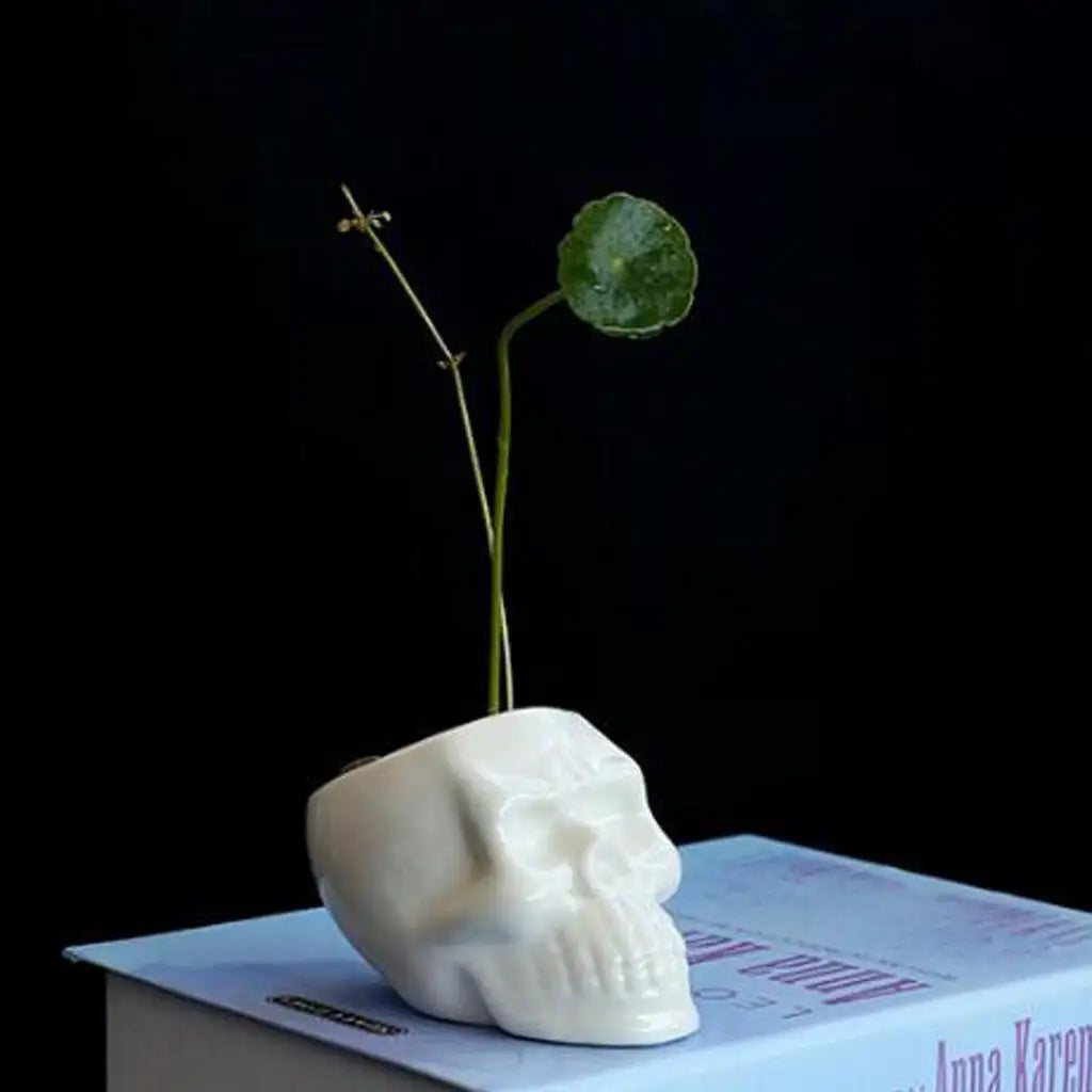 Small Ceramic Skull Head Planter | Unique Garden Decor