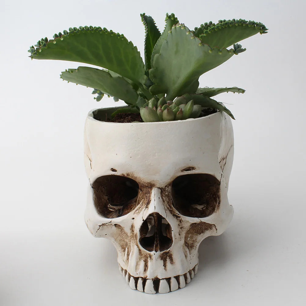 Skull Flower Pot (Beige, White, or Red) | Unique Planter