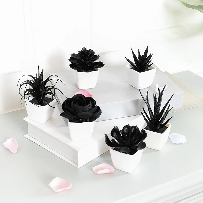 Elegant Black Artificial Succulent Small Potted Plants for Modern Decor