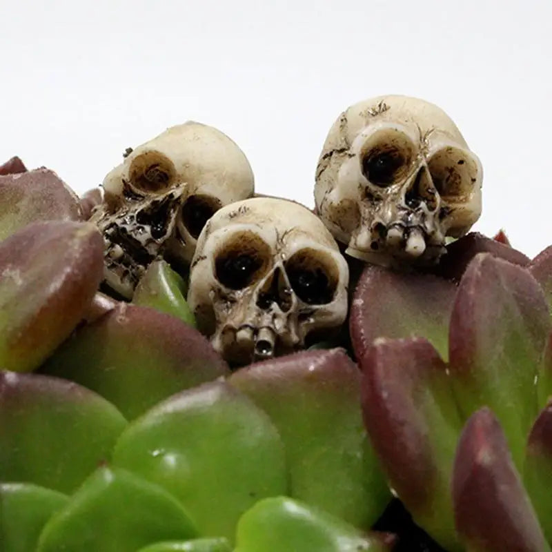 Miniature Skull Head Flowerpot Filler 20pcs