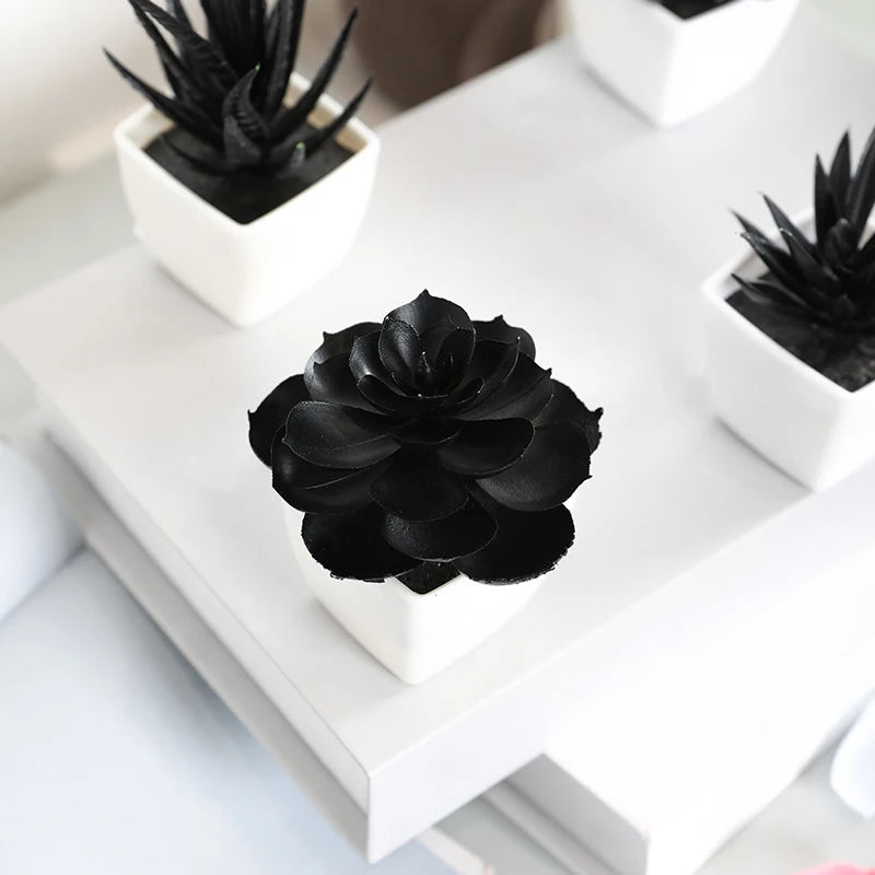 Elegant Black Artificial Succulent Small Potted Plants for Modern Decor