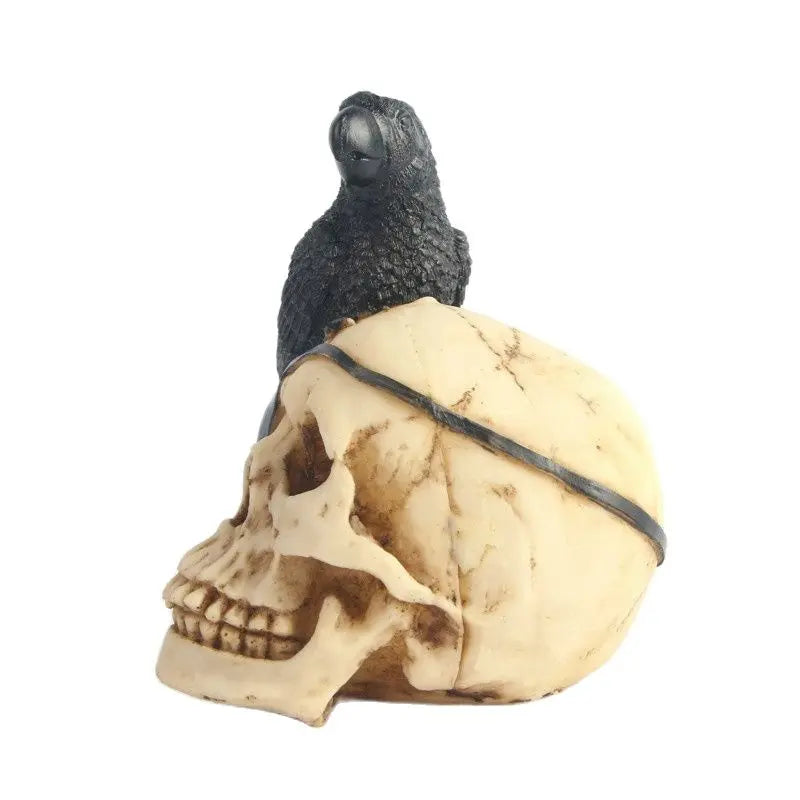 Black Parrot Pirate Skull Statue | Unique & Bold Home Decor