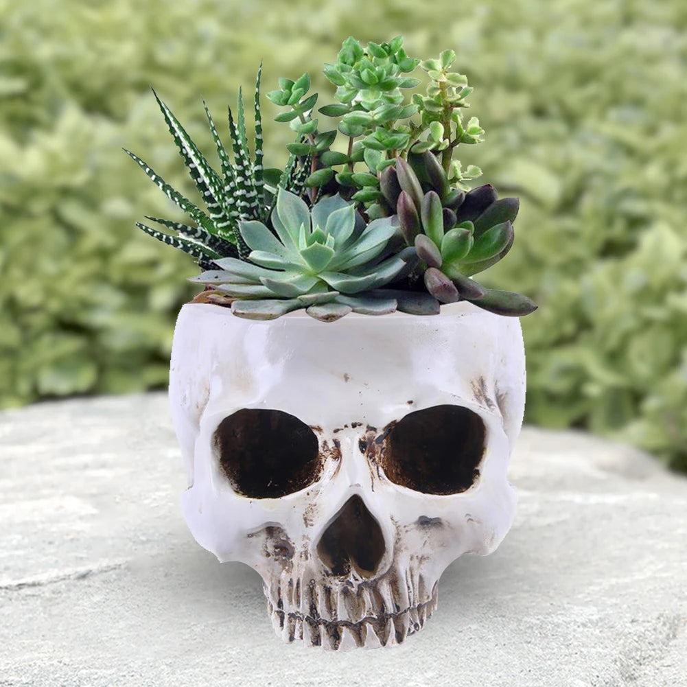 Skull Flower Pot (Beige, White, or Red) | Unique Planter