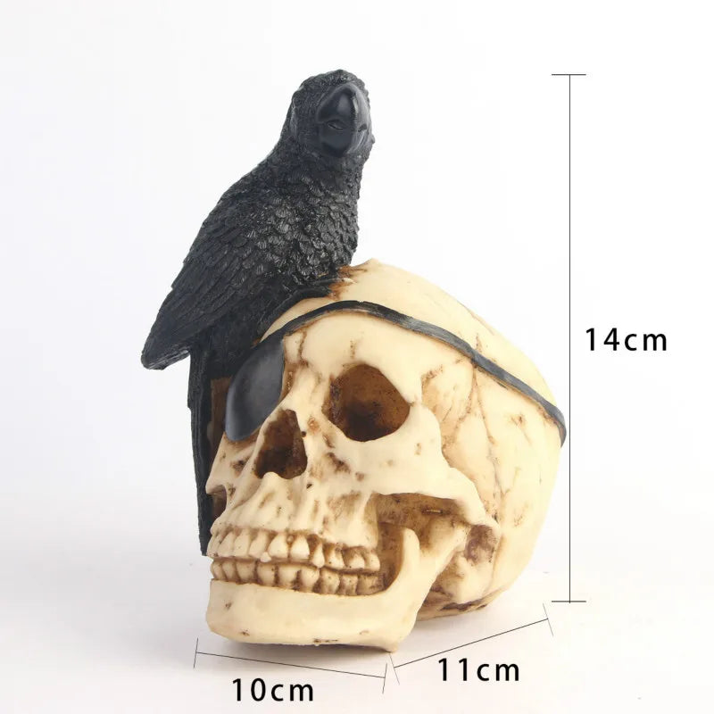 Black Parrot Pirate Skull Statue | Unique & Bold Home Decor