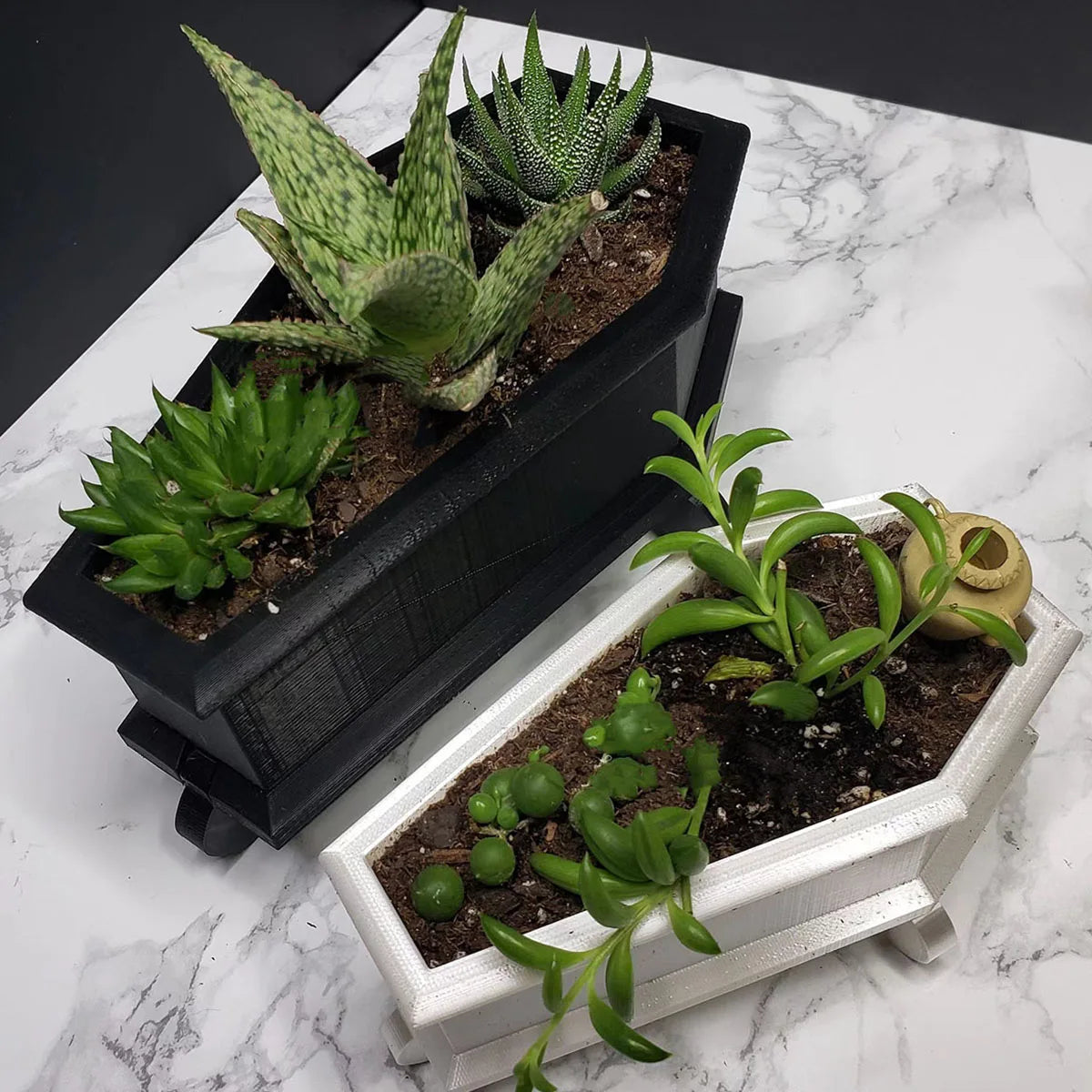 Coffin Mini Planter with Drainage Holes