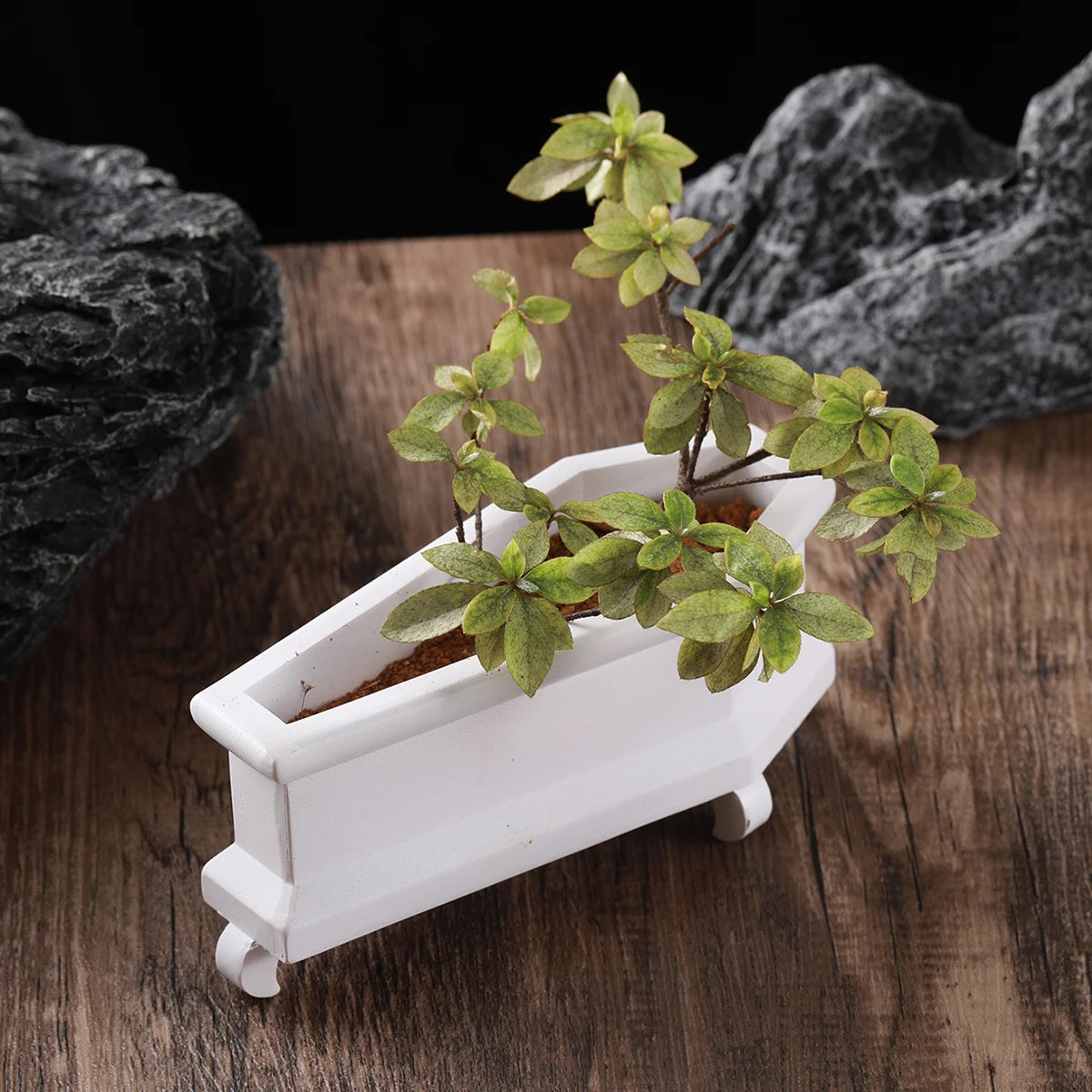 Coffin Mini Planter with Drainage Holes