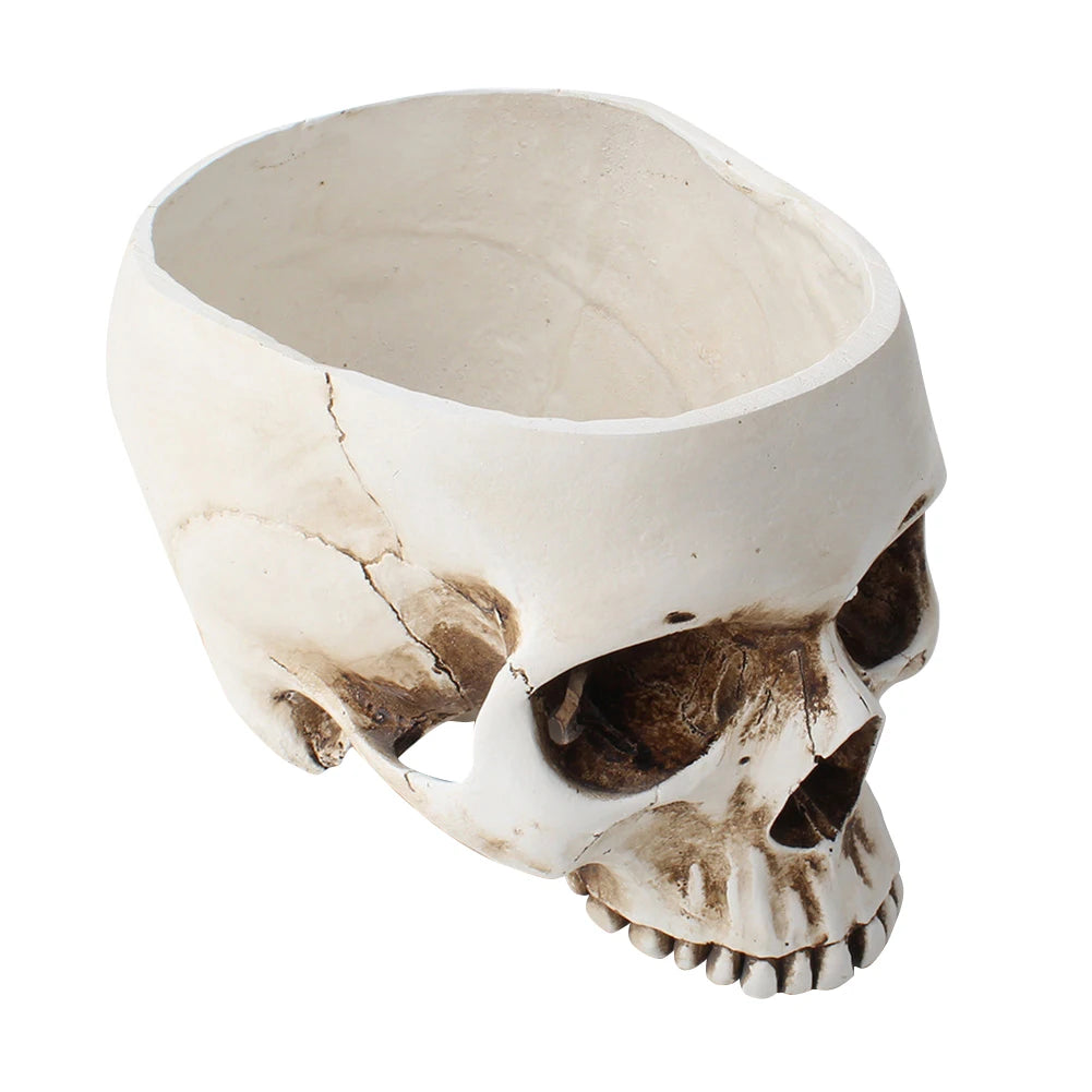 Skull Flower Pot (Beige, White, or Red) | Unique Planter