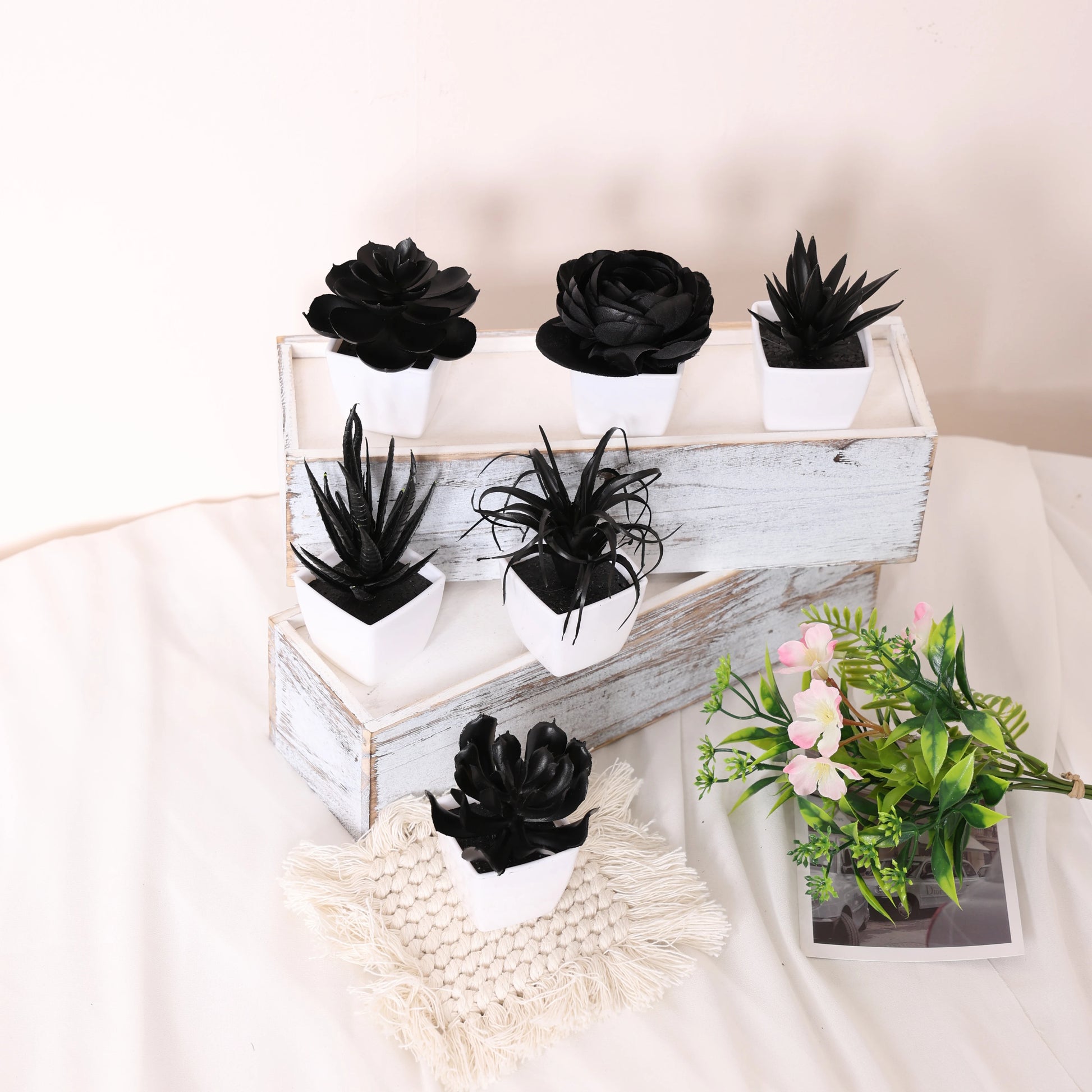 Elegant Black Artificial Succulent Small Potted Plants for Modern Decor