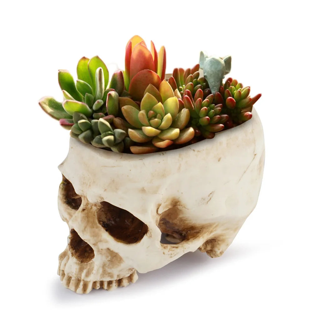 Resin Human Skull Planter (Single or Double Skull)