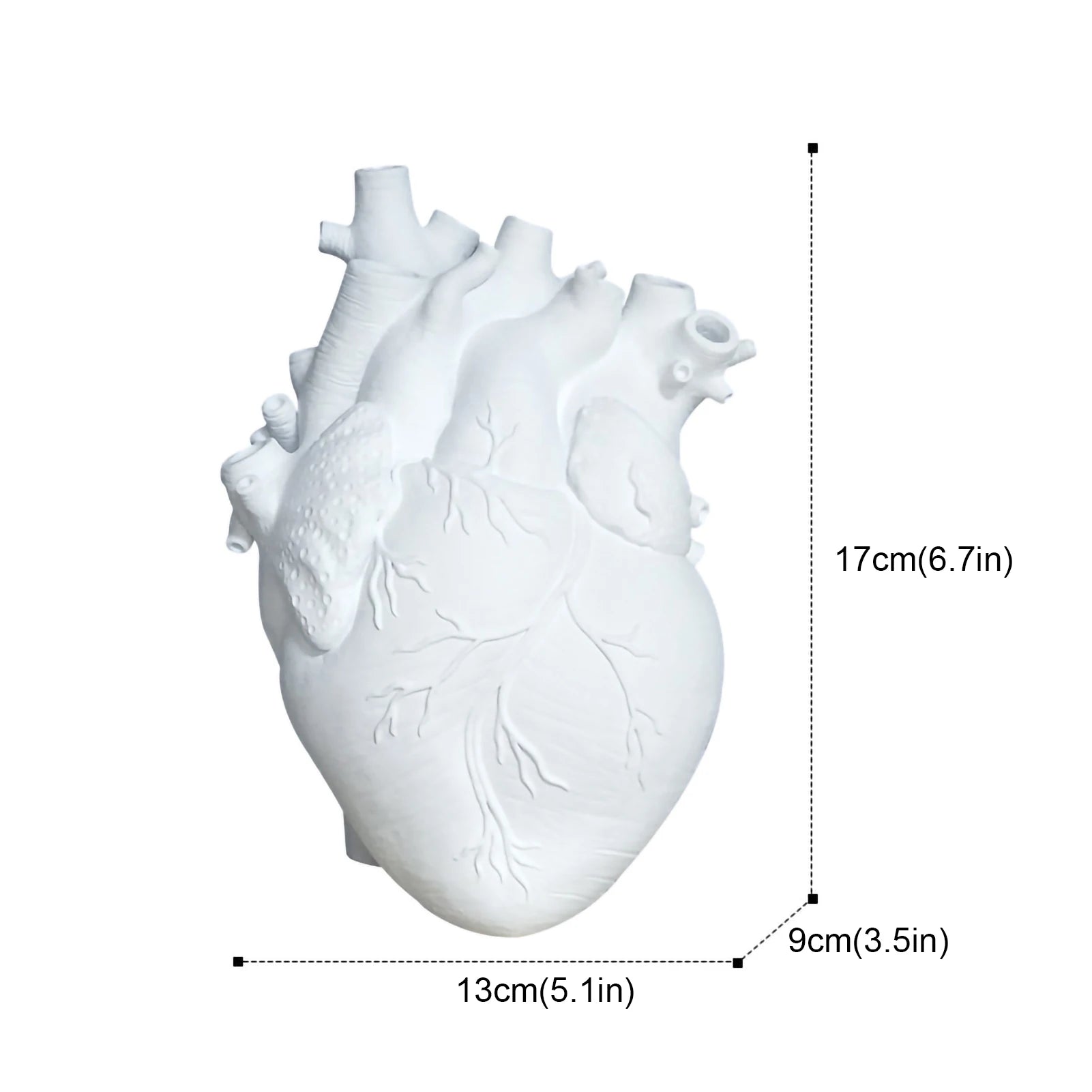 Anatomical Heart Shape Flower Vase | Unique & Artistic Vase