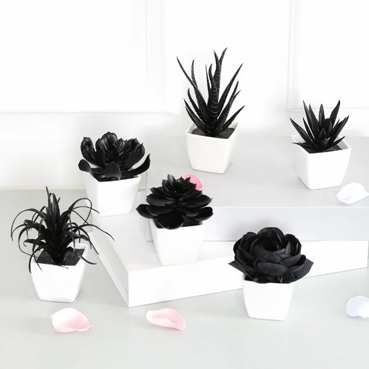 Elegant Black Artificial Succulent Small Potted Plants for Modern Decor