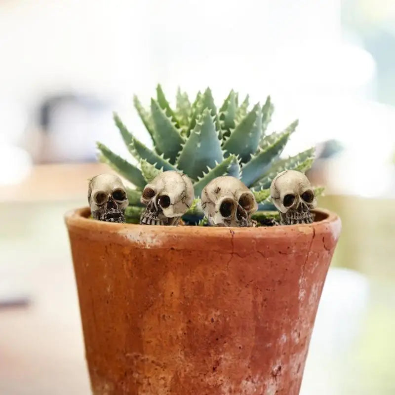 Miniature Skull Head Flowerpot Filler 20pcs